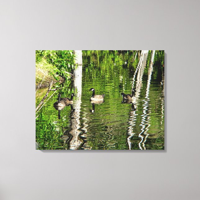 (Canada) Goose Green Canvas Print (Front)