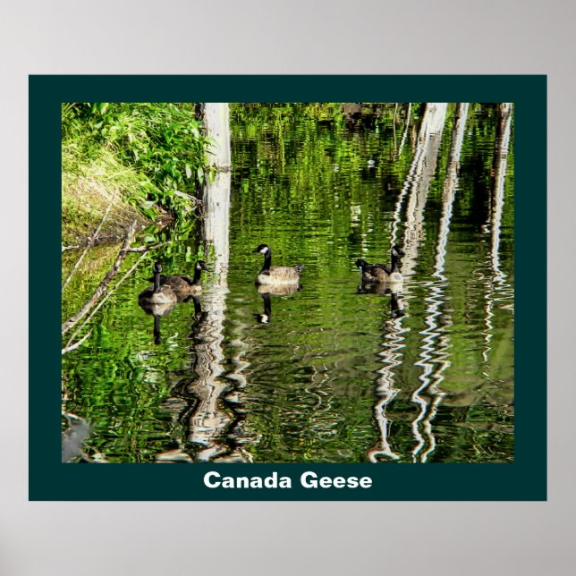 (Canada) Goose Green Poster (Front)