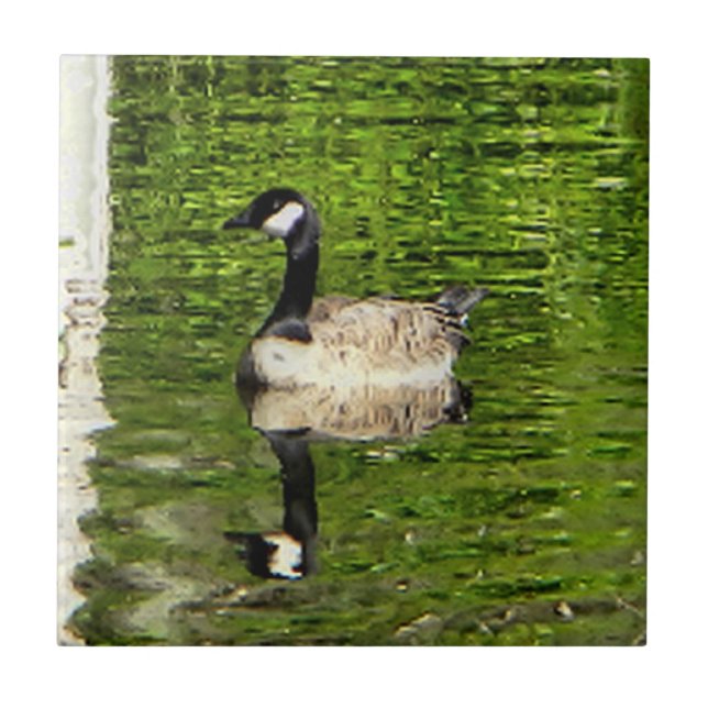 (Canada) Goose Green Tile (Front)