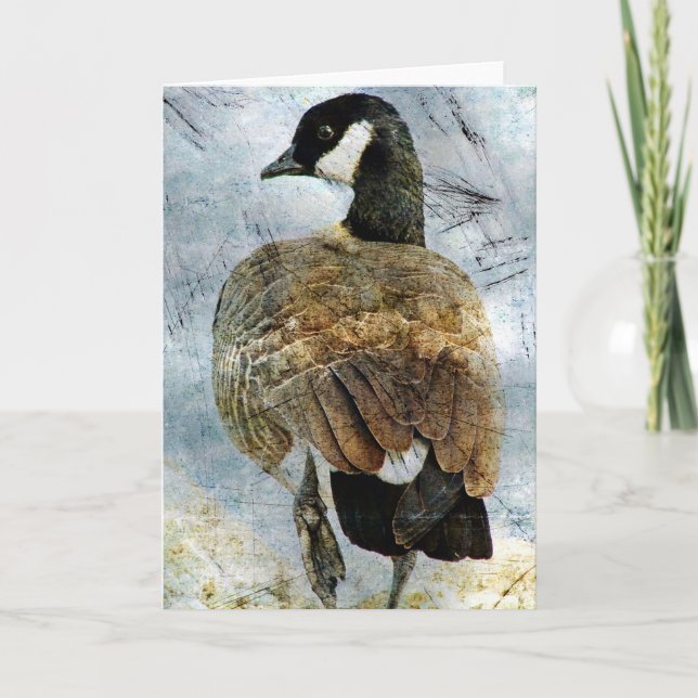 Canada Goose Grunge Card (Front)