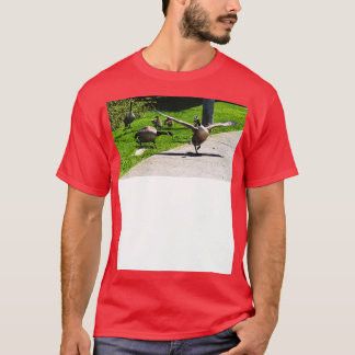 Canada Goose Honking At Other Goose Wings Spread T T-Shirt