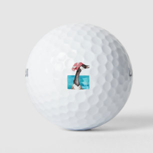 Canada Goose in a Toque Golf Balls