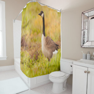 Canada Goose in colourful field Shower Curtain