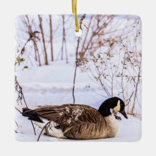 Canada Goose in Snow Ornament