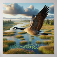 Canada Goose in Tranquil Wetlands