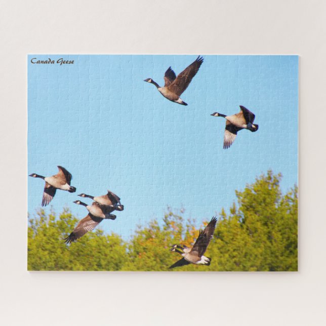Canada Goose Jigsaw Puzzle (Horizontal)