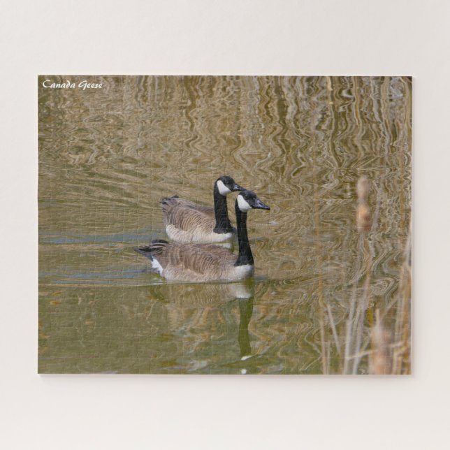 Canada Goose Jigsaw Puzzle (Horizontal)