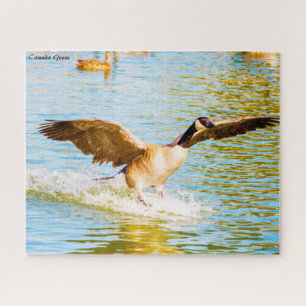 Canada Goose Jigsaw Puzzle