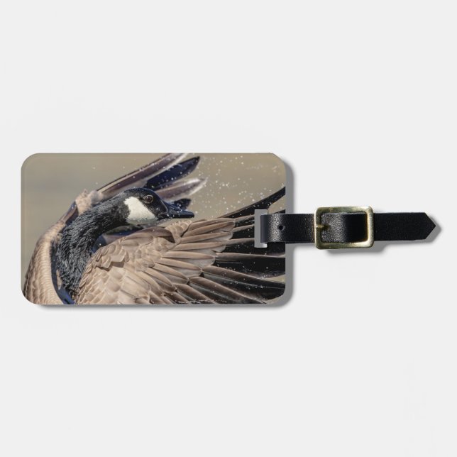 Canada Goose Luggage Tag (Front Horizontal)