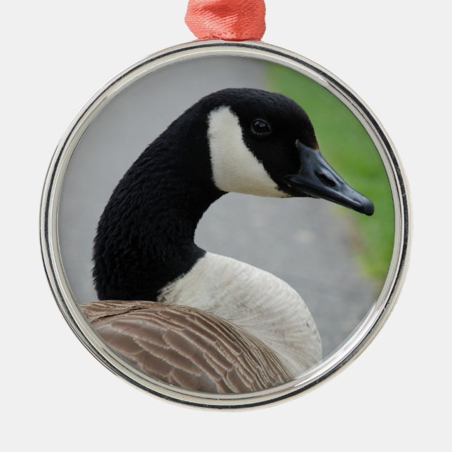 Canada goose metal tree decoration (Front)