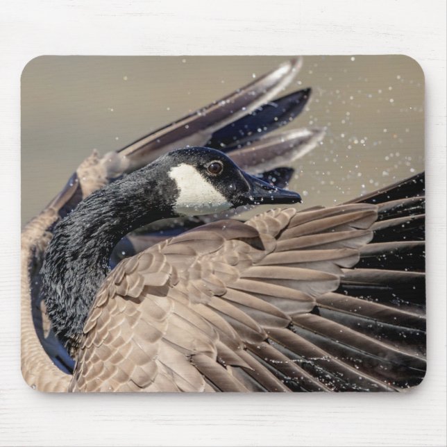 Canada Goose Mouse Pad (Front)