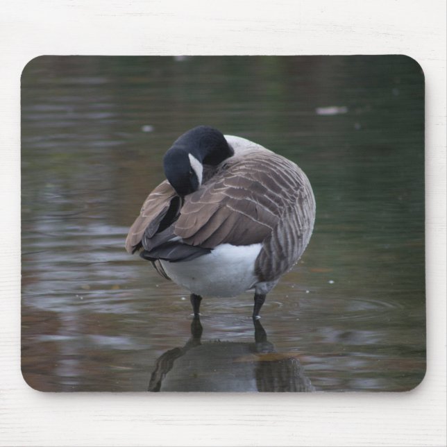 Canada Goose Mouse Pad (Front)