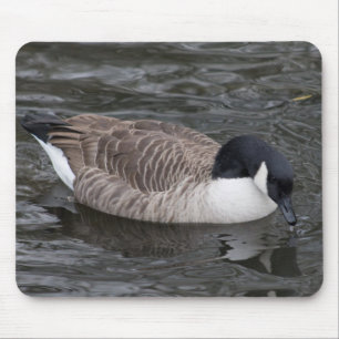 Canada Goose Mouse Pad
