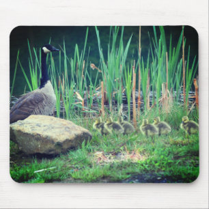 Canada Goose Mum Babies Nature Mouse Pad