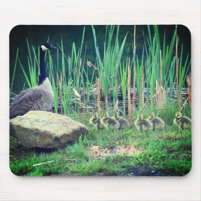 Canada Goose Mum Babies Nature Mouse Pad (Front)