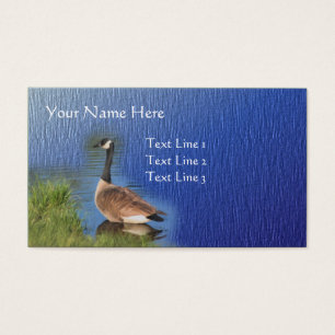Canada Goose Nature Animal Art