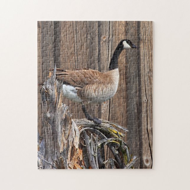 CANADA GOOSE ON BARN BOARD JIGSAW PUZZLE (Vertical)
