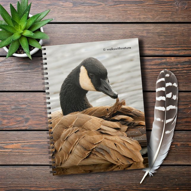 Canada Goose on the Lake Notebook (Canada Goose on the Lake Journal Cover Photo)
