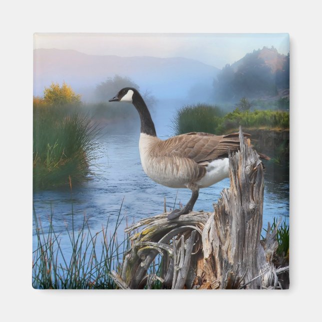 CANADA GOOSE ON THE SHASTA MAGNET (Front)