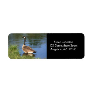 Canada Goose Painting Address Label