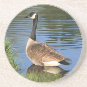 Canada Goose Painting Animal Coaster