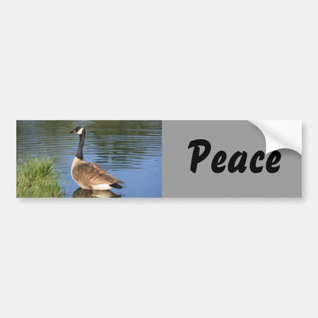 Canada Goose Peace Bumper Sticker (Front)