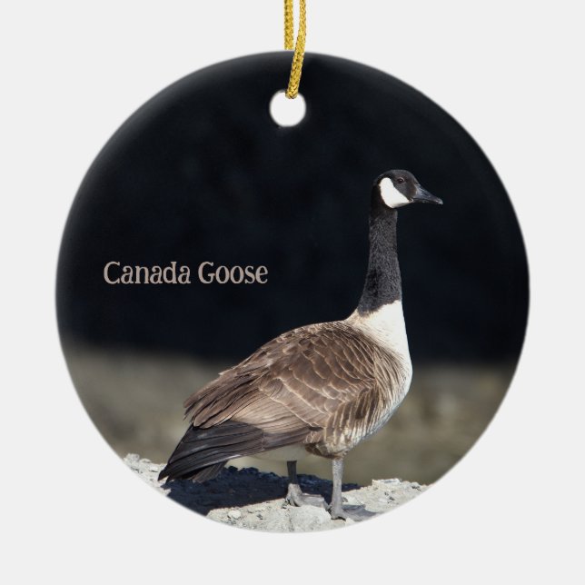 Canada Goose Photo Ornament (Front)