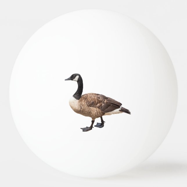 Canada Goose Ping Pong Ball (Front)