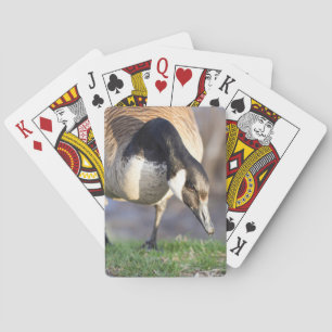 Canada Goose Playing Cards