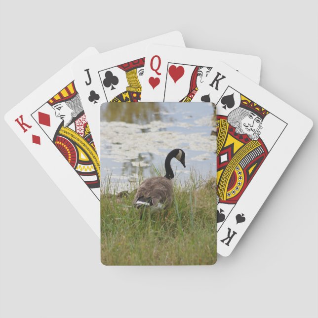 Canada Goose Playing Cards (Back)