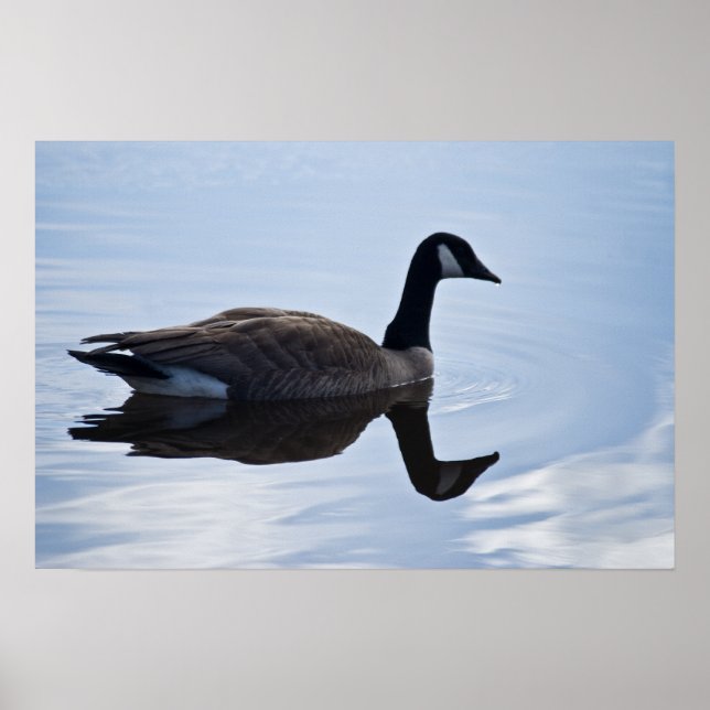 Canada Goose Poster (Front)
