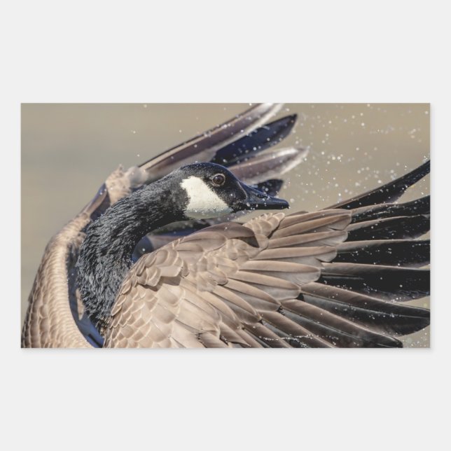 Canada Goose Rectangular Sticker (Front)