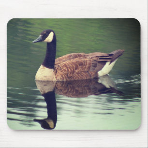 Canada Goose Reflections Nature Mouse Pad