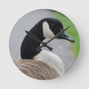 Canada goose round clock