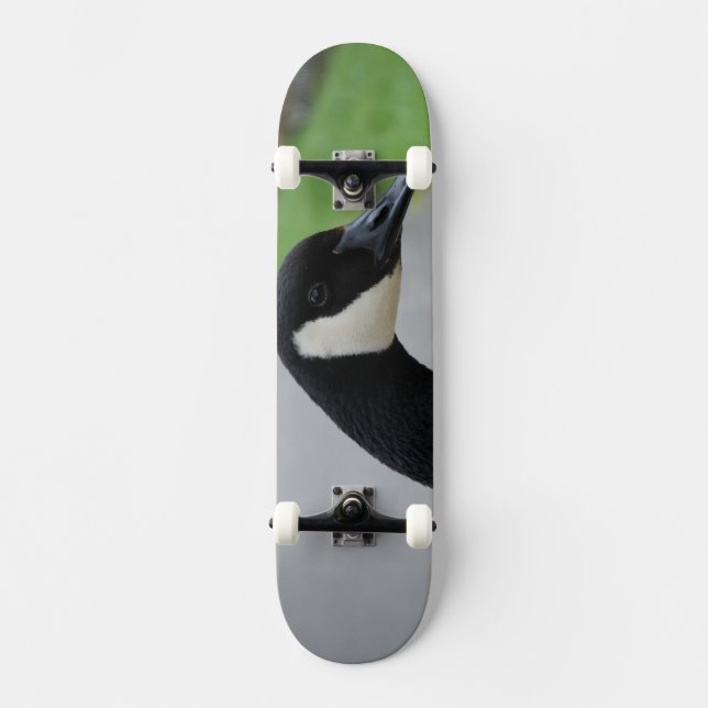 Canada goose skateboard (Front)