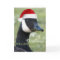 Canada Goose Wearing Red Santa Hat Holiday