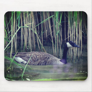Canada Goose Wildlife Nature Mouse Pad