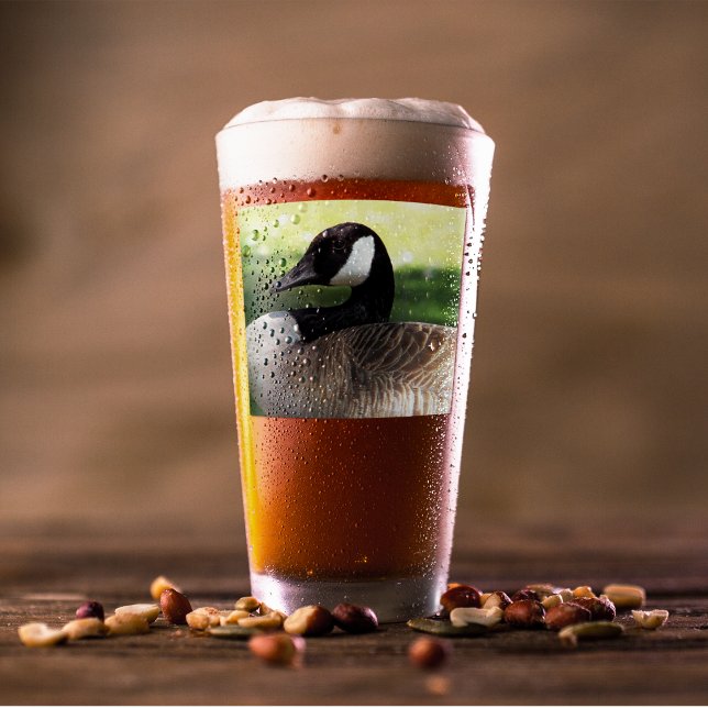 Canada Goose Wildlife Photo Glass (In Situ Beer)