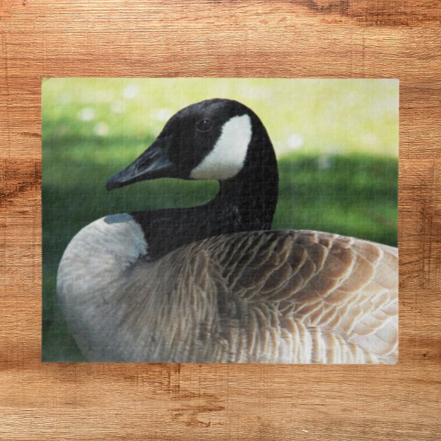 Canada Goose Wildlife Photo Jigsaw Puzzle (In Situ)