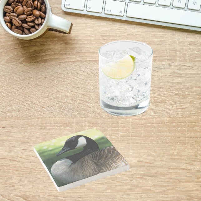 Canada Goose Wildlife Photo Stone Coaster (In Situ Office)