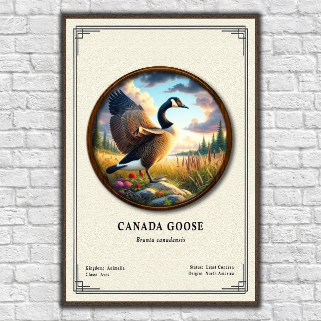 Canada Goose Zoology Series Poster (Creator Uploaded)