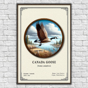 Canada Goose Zoology Series Poster