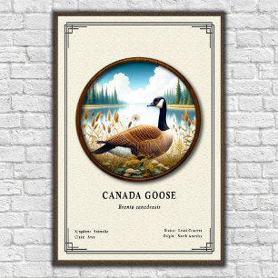 Canada Goose Zoology Series Poster
