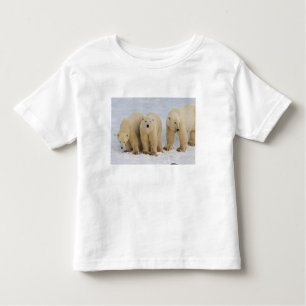 Canada, Hudson Bay. Polar bear mother with two Toddler T-Shirt