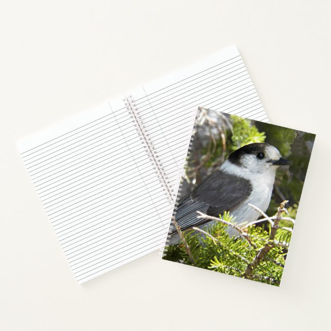 Canada Jay Nature Photo Notebook (Inside)