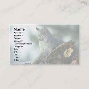 Canada lynx business card