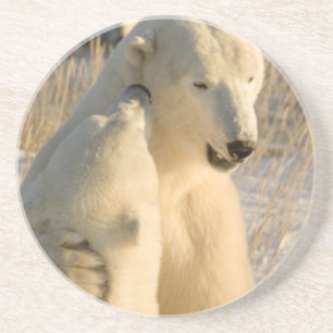 Canada, Manitoba, Hudson Bay, Churchill. Coaster