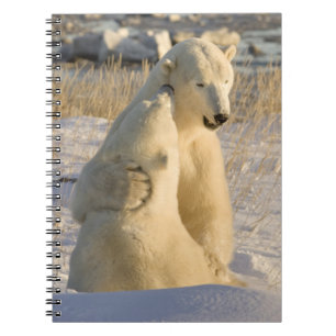 Canada, Manitoba, Hudson Bay, Churchill. Spiral Notebook