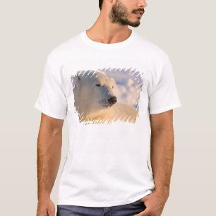 Canada, Manitoba, Hudson Bay Polar Bear T-Shirt