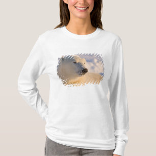 Canada, Manitoba, Hudson Bay   Polar Bear T-Shirt